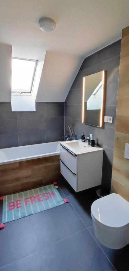 Apartman Pod Jestedem Apartment Liberec Exterior photo